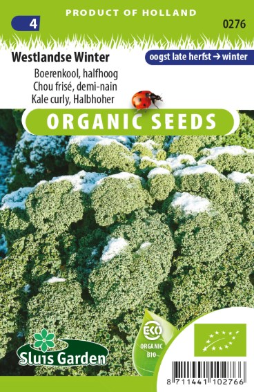 Borecole Westland Winter BIO (Brassica) 175 seeds SL